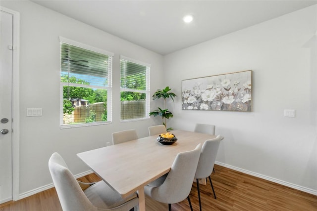 10207 Buster Dr, Austin, TX 78748 - dining room featuring wood finished floors and recessed lighting