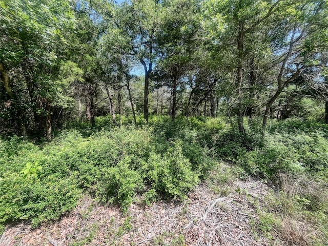 TBDPhillipsStreet Phillips Street W, Lexington, TX 78947