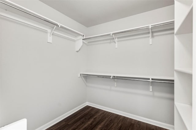 1600 Gretchen Dr, Cedar Park, TX 78613 - walk in closet featuring dark wood-style flooring