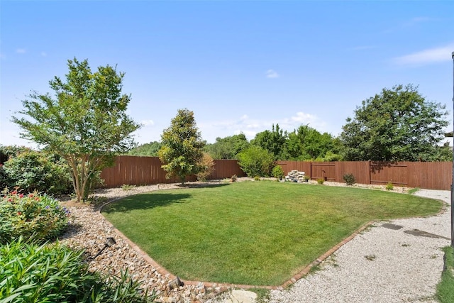 937 Wild Rose Dr, Austin, TX 78737 - view of yard