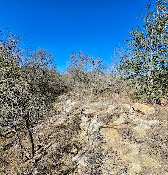0 Bradshaw Rd, Austin, TX 78747 - photo 7