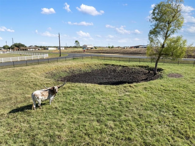 155 Gabriel Farms Dr, Hutto, TX 78634 - view of yard featuring a rural view