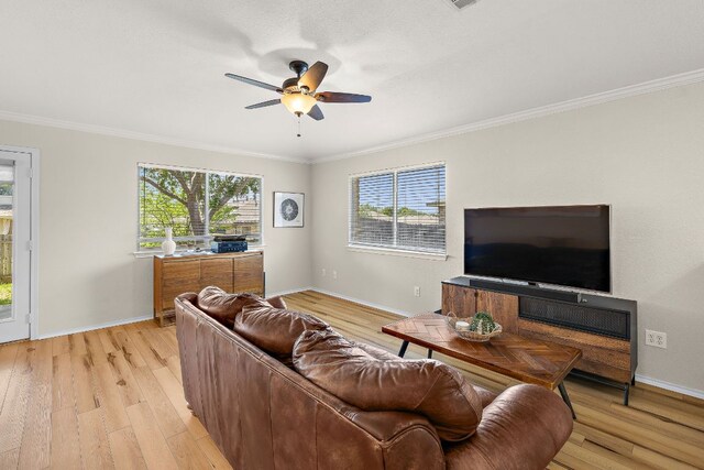 1107 Remington Dr, Leander, TX 78641 - living area featuring plenty of natural light, light wood-type flooring, ornamental molding, ceiling fan, and baseboards