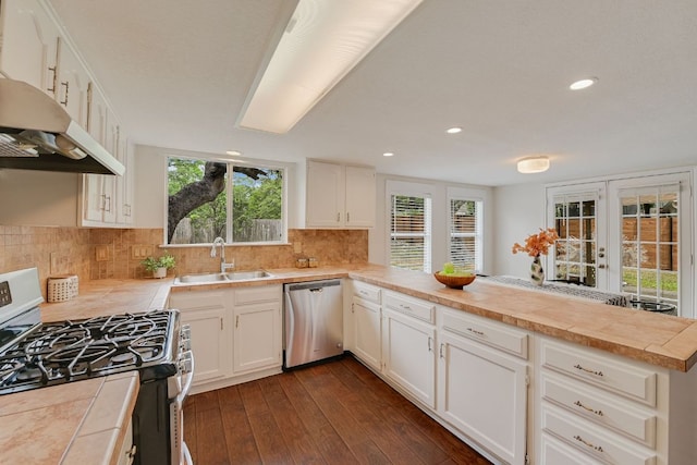 4702 White Elm Dr, Austin, TX 78749 - kitchen with appliances with stainless steel finishes, a peninsula, dark wood finished floors, under cabinet range hood, and tasteful backsplash