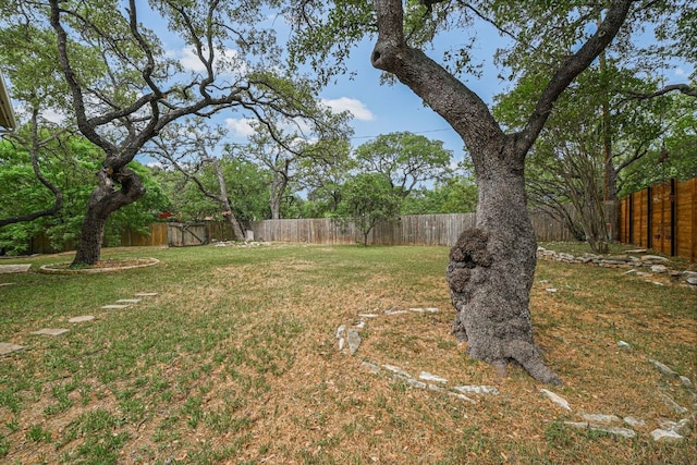 4702 White Elm Dr, Austin, TX 78749 - view of fenced backyard