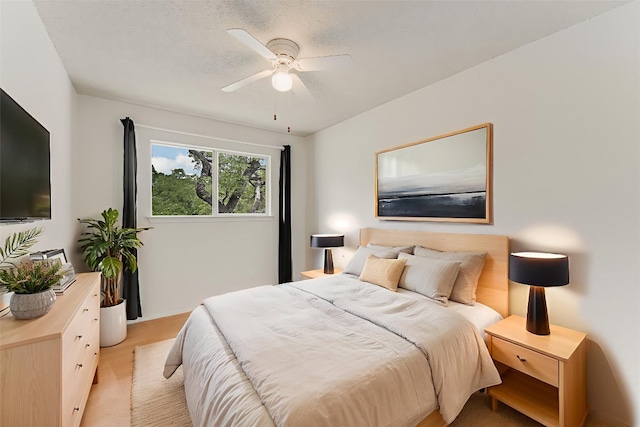 4702 White Elm Dr, Austin, TX 78749 - photo 15