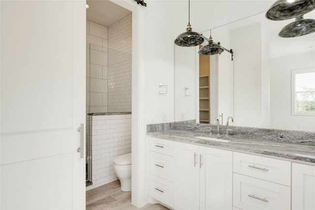 bathroom featuring toilet, vanity, and wood finished floors