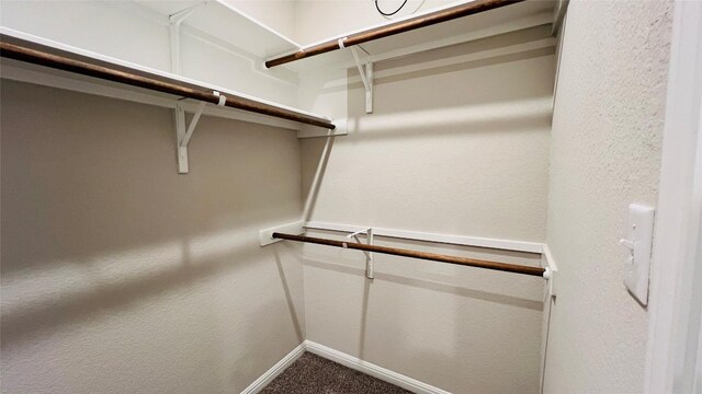 310 Dipprey Ln, Georgetown, TX 78628 - walk in closet with carpet