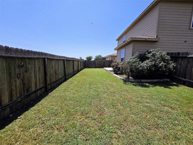 336 Farmer Ln, Jarrell, TX 76537 - view of yard