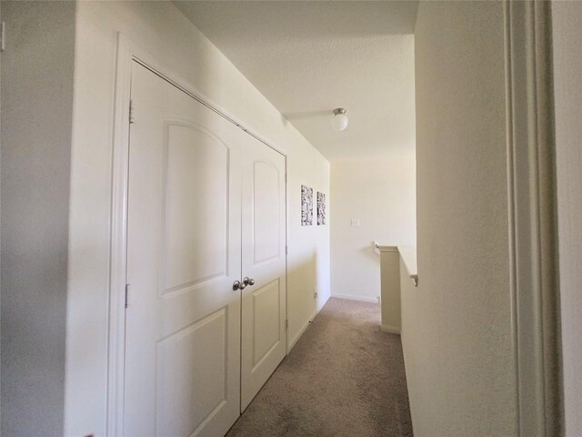 336 Farmer Ln, Jarrell, TX 76537 - hallway featuring carpet floors