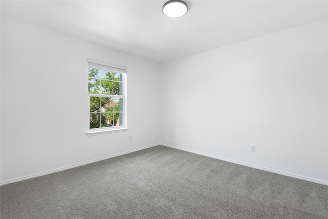13626 Merseyside Dr, Pflugerville, TX 78660 - photo 15
