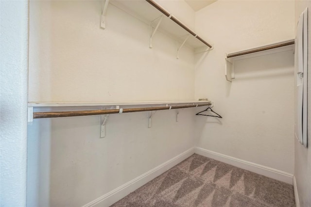 206 Duroc Dr, Hutto, TX 78634 - spacious closet with carpet