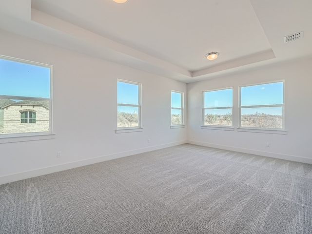 spare room with a raised ceiling, light colored carpet, and baseboards