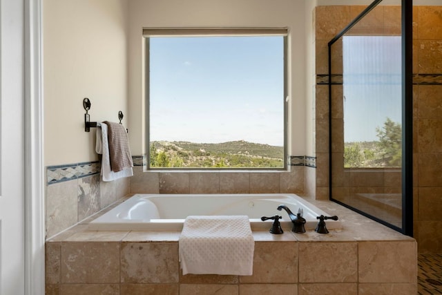 432 Stacey Ann Cv, Dripping Springs, TX 78620 - bathroom featuring plenty of natural light and a bath