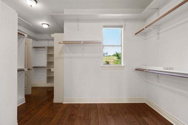 432 Stacey Ann Cv, Dripping Springs, TX 78620 - spacious closet featuring dark wood-style floors