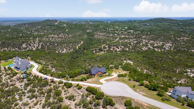 432 Stacey Ann Cv, Dripping Springs, TX 78620 - aerial view of a forest