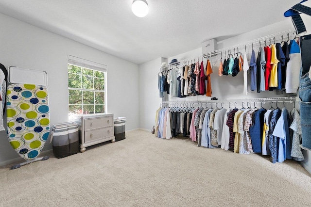 spacious closet featuring carpet flooring