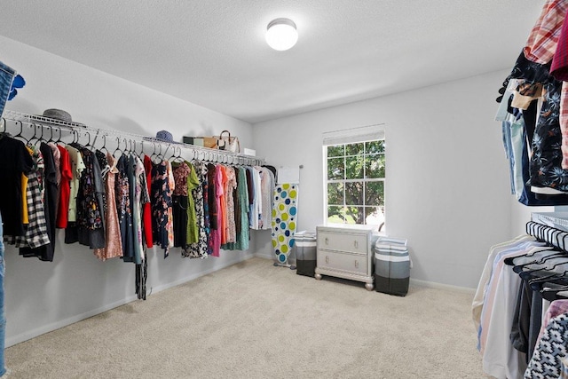 spacious closet featuring carpet