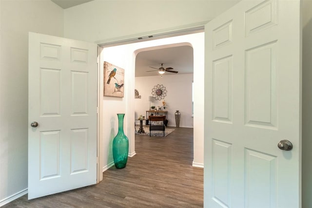9005 Pin Brush Dr, Austin, TX 78748 - photo 15