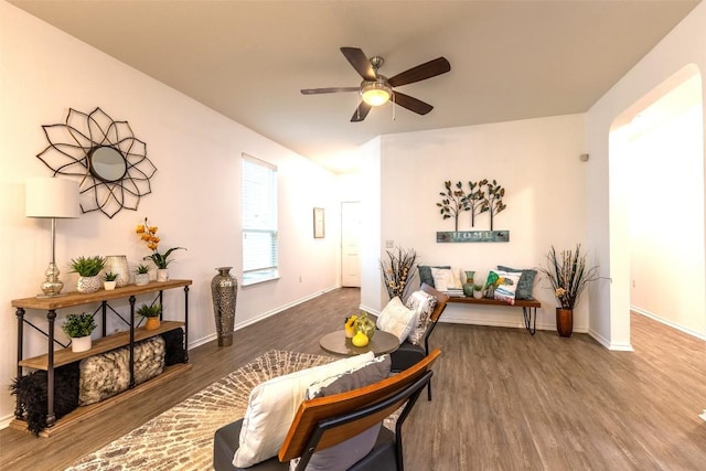 9005 Pin Brush Dr, Austin, TX 78748 - photo 7