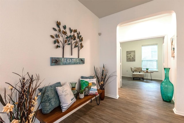 9005 Pin Brush Dr, Austin, TX 78748 - corridor with wood finished floors, baseboards, and arched walkways