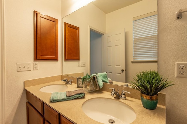 9005 Pin Brush Dr, Austin, TX 78748 - bathroom featuring double vanity
