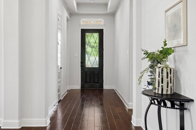 foyer entrance with dark wood finished floors, baseboards, and a raised ceiling