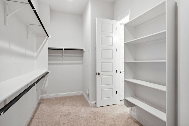 spacious closet with light carpet