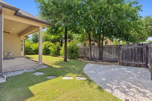 view of yard featuring a patio area