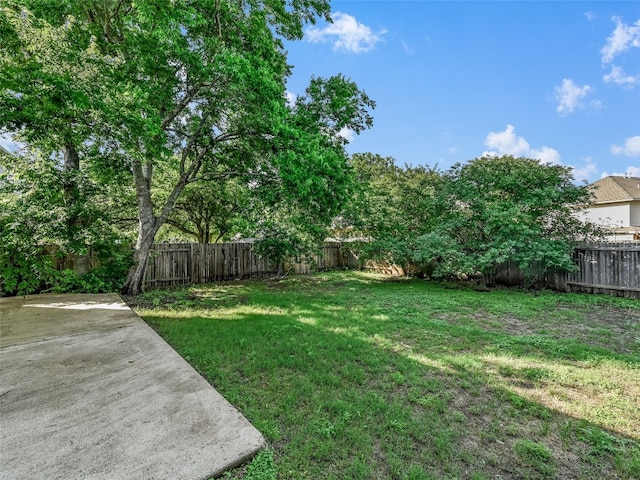 view of yard