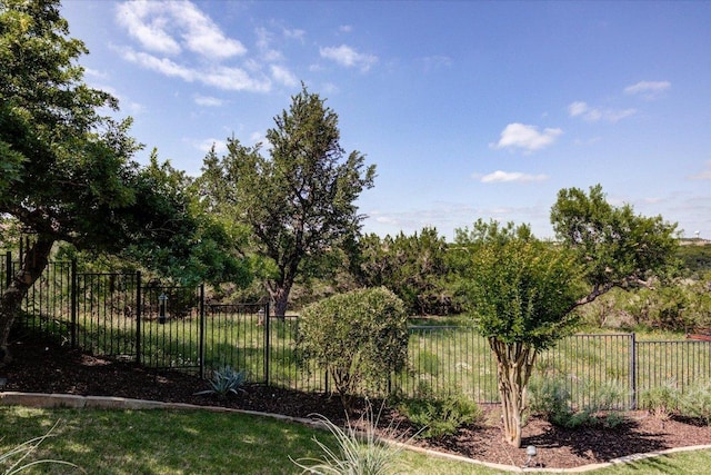 3920 Vail Dv, Bee Cave, TX 78738 - view of yard