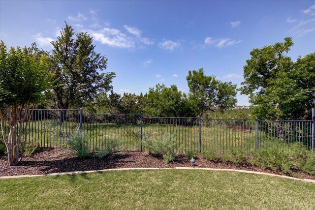 3920 Vail Dv, Bee Cave, TX 78738 - view of yard