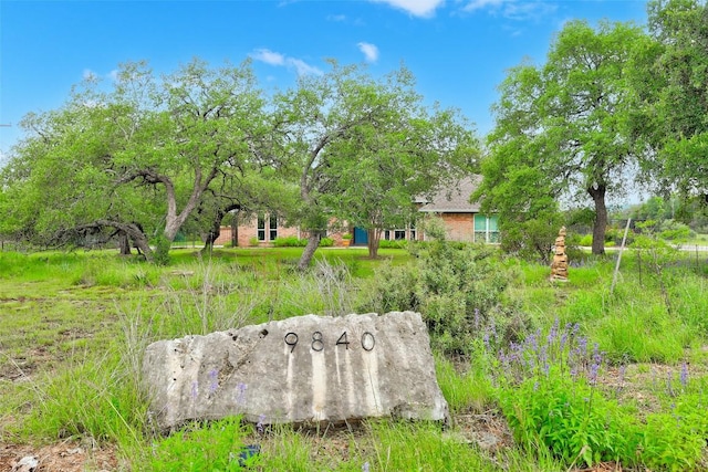 9840 N Live Oak Rd, Salado, TX 76571 - view of yard