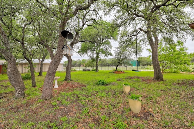 9840 N Live Oak Rd, Salado, TX 76571 - view of yard
