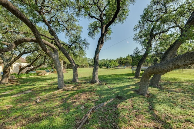 1186 Ranchers Club Ln, Driftwood, TX 78619 - view of yard