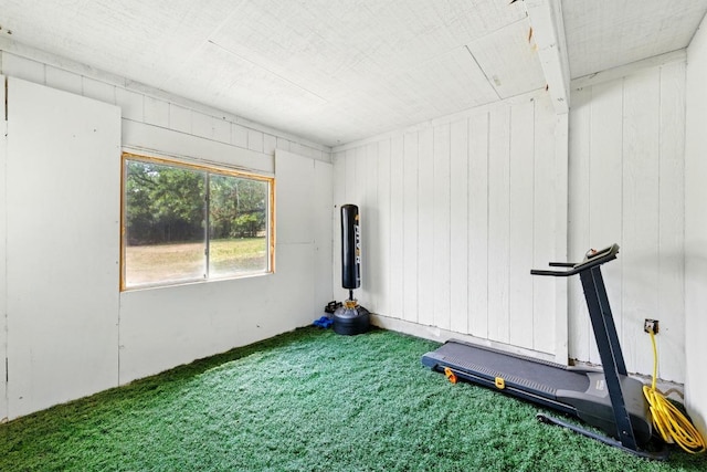 136 Shadow Oak Dr, Bastrop, TX 78602 - workout area with carpet and wooden walls