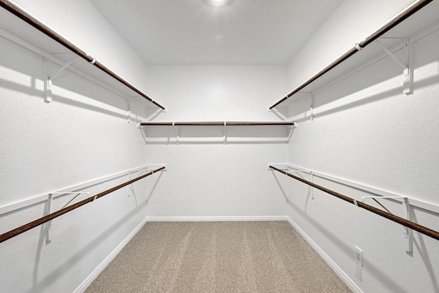 walk in closet with light carpet