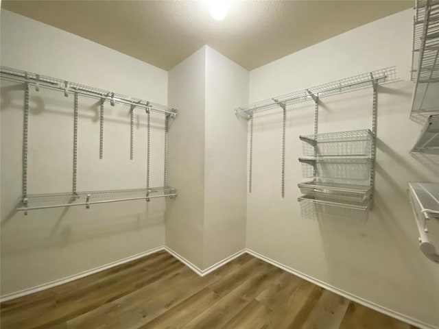 705 Brazos Bend Dr, Cedar Park, TX 78613 - photo 23