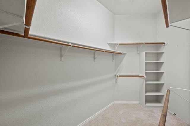 walk in closet with carpet flooring