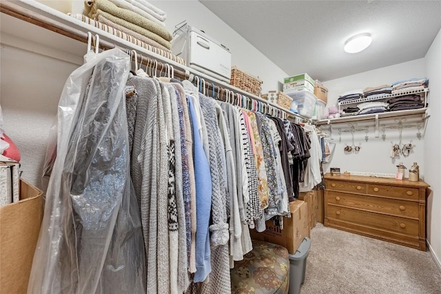 100 Seaholm Ln, Hutto, TX 78634 - spacious closet with carpet floors