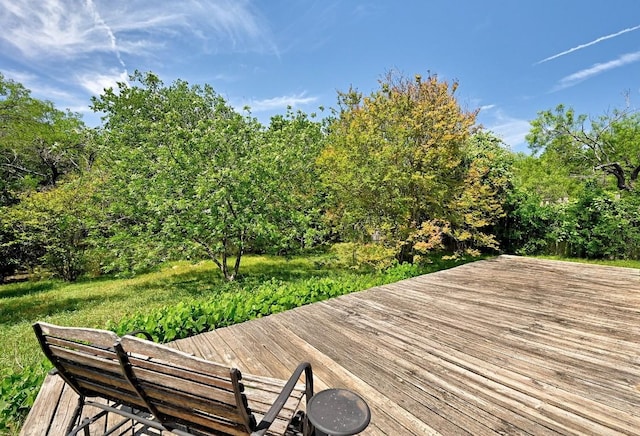3305 Carol Ann Dr, Austin, TX 78723 - view of wooden deck