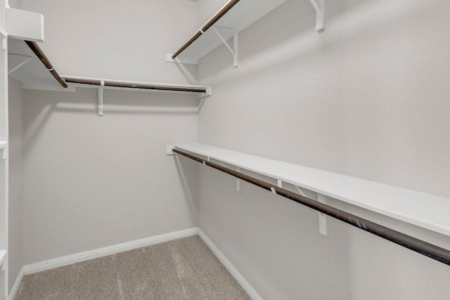 109 Lake Livingston Dr, Georgetown, TX 78628 - walk in closet with carpet floors