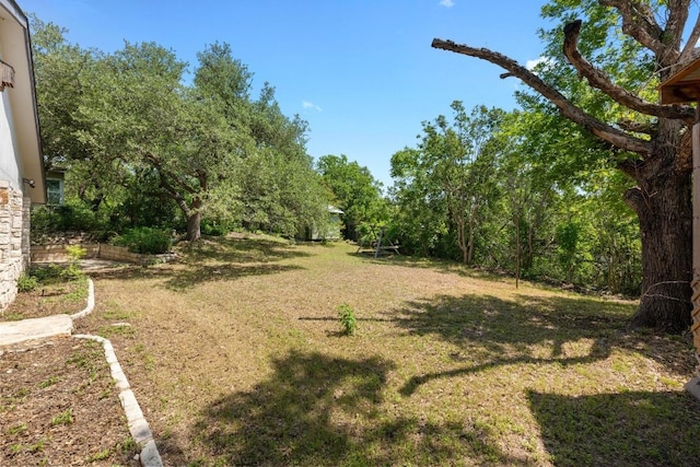 view of green lawn