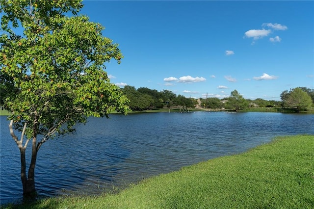 17219 Oak Cliff Cir, Dripping Springs, TX 78620 - water view