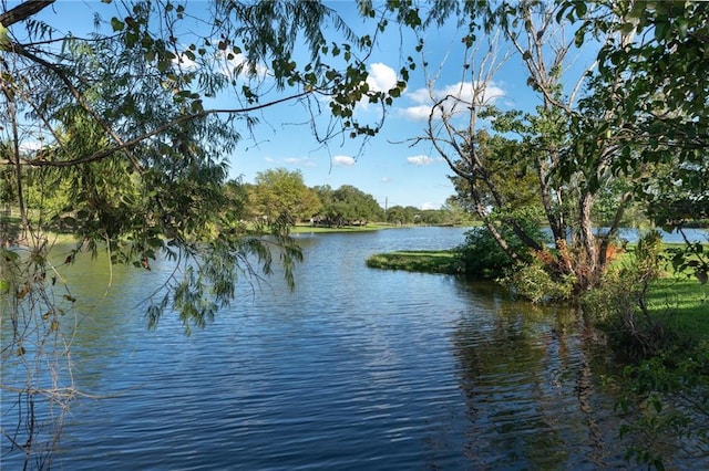 17219 Oak Cliff Cir, Dripping Springs, TX 78620 - water view