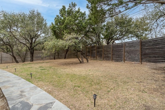 17219 Oak Cliff Cir, Dripping Springs, TX 78620 - view of yard