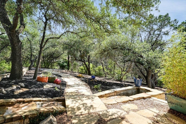 1004 Castle Ridge Rd, Austin, TX 78746 - view of yard