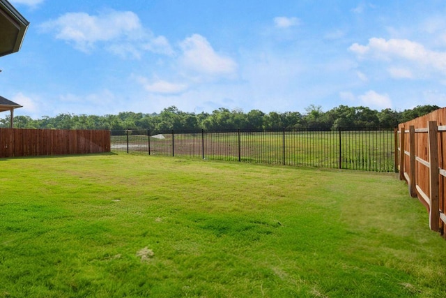 145 Morningdale Dr, Liberty Hill, TX 78642 - photo 6