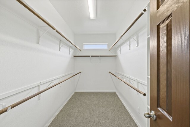 221 Mandana St, Leander, TX 78641 - walk in closet featuring carpet floors