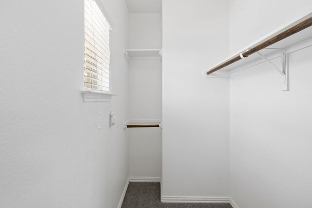 221 Mandana St, Leander, TX 78641 - spacious closet with carpet flooring